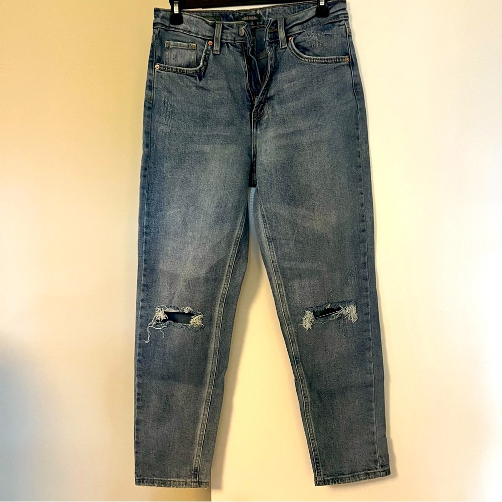 Wild Fable Mom Jeans
